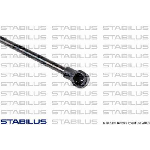 Stabilus 0744VM Gasfeder Koffer /laderaum Beidseitig für Bmw