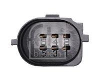 Drosselklappenstutzen mit Dichtung