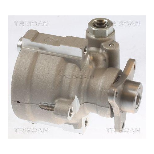Triscan 8515 10631 Hydraulikpumpe Lenkung für Nissan Opel Renault Vauxhall
