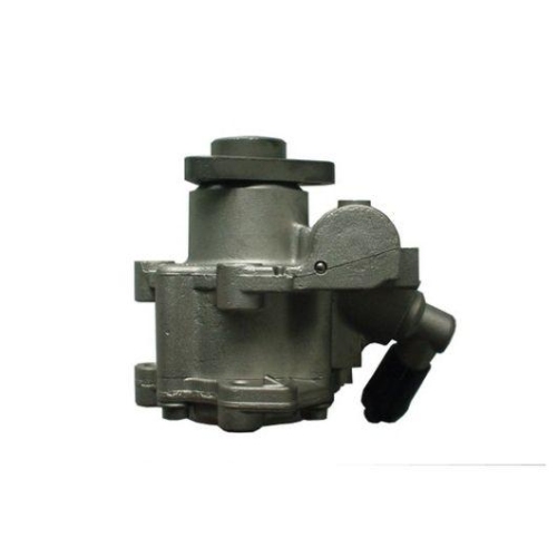 Spidan 53956 Hydraulikpumpe Lenkung für Bmw
