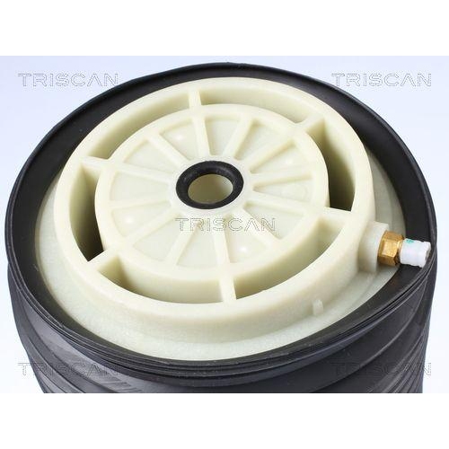 Triscan 8720 23202 Luftfeder Fahrwerk Hinterachse Rechts für Mercedes Benz