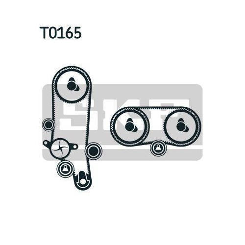 Skf VKMC 01121-2 Wasserpumpe + Zahnriemensatz für Audi Seat Skoda VW Vw (svw)