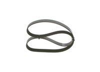 Bosch 1 987 945 730 Keilrippenriemen für Audi Bmw Fiat Porsche Seat Skoda VW