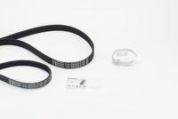 Continental Ctam 6PK1059 ELAST T2 Keilrippenriemensatz für Ford Volvo