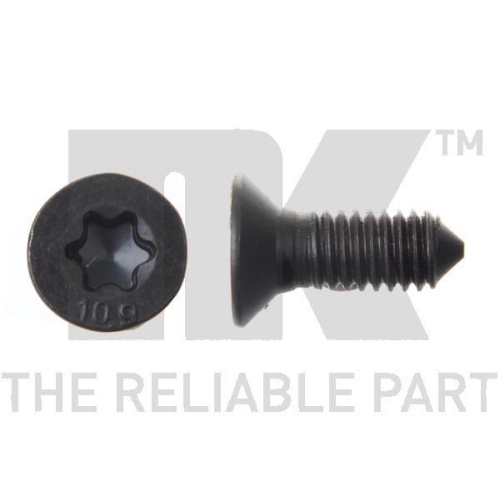 Nk 89011667 Schraube Bremsscheibe für Audi Opel Seat Skoda Suzuki Toyota VW Kia