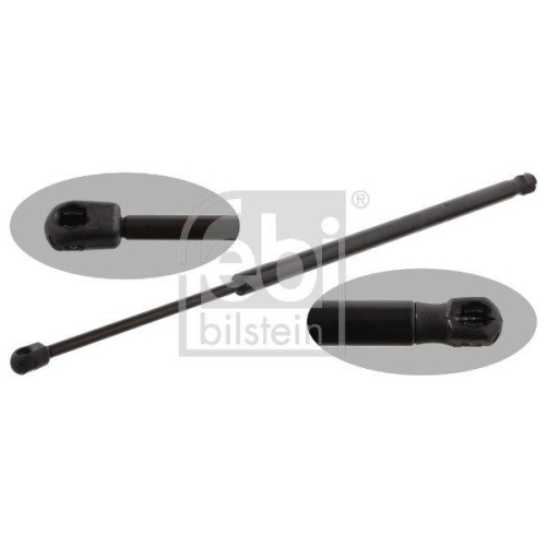 Febi Bilstein 31952 Gasfeder Koffer /laderaum Beidseitig für Ford Ford Usa